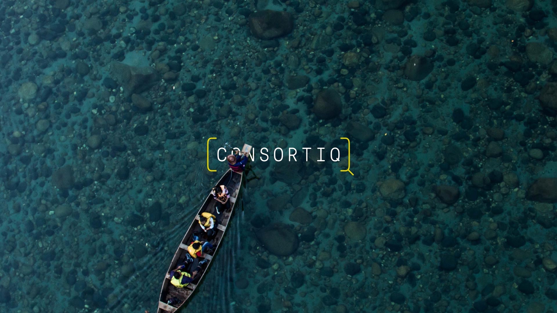 onsortiq Birdseye