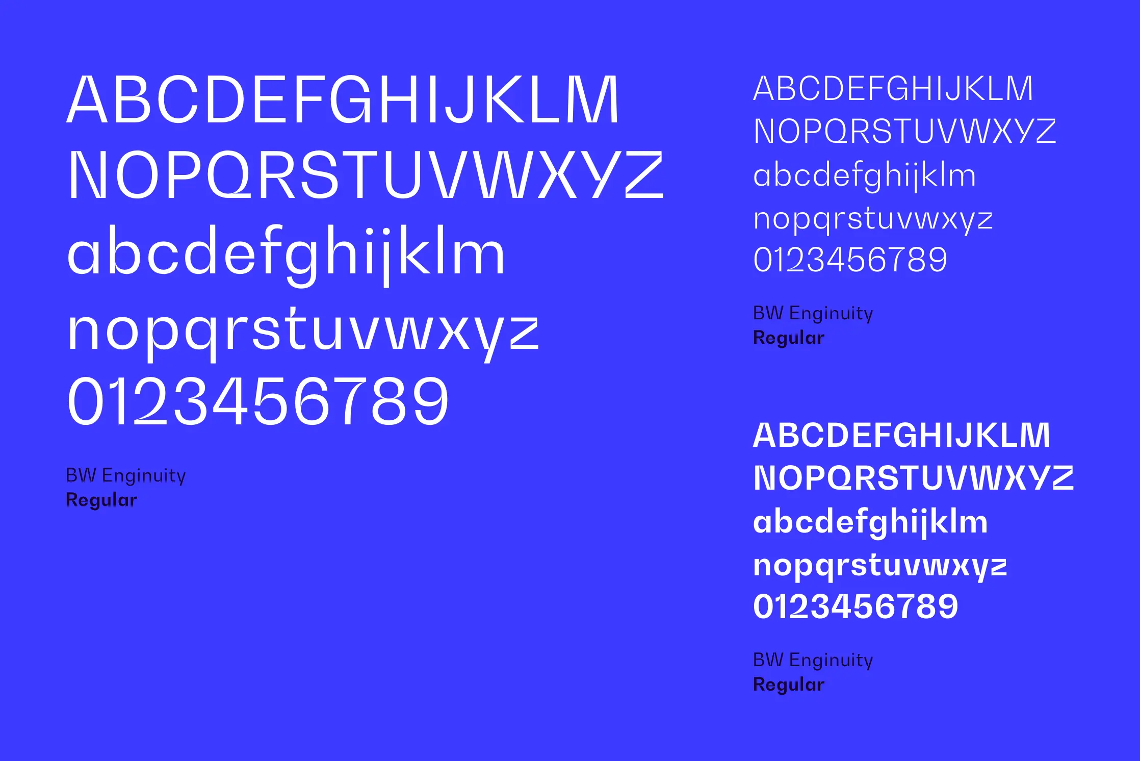 Enginuity Brand Guidelines