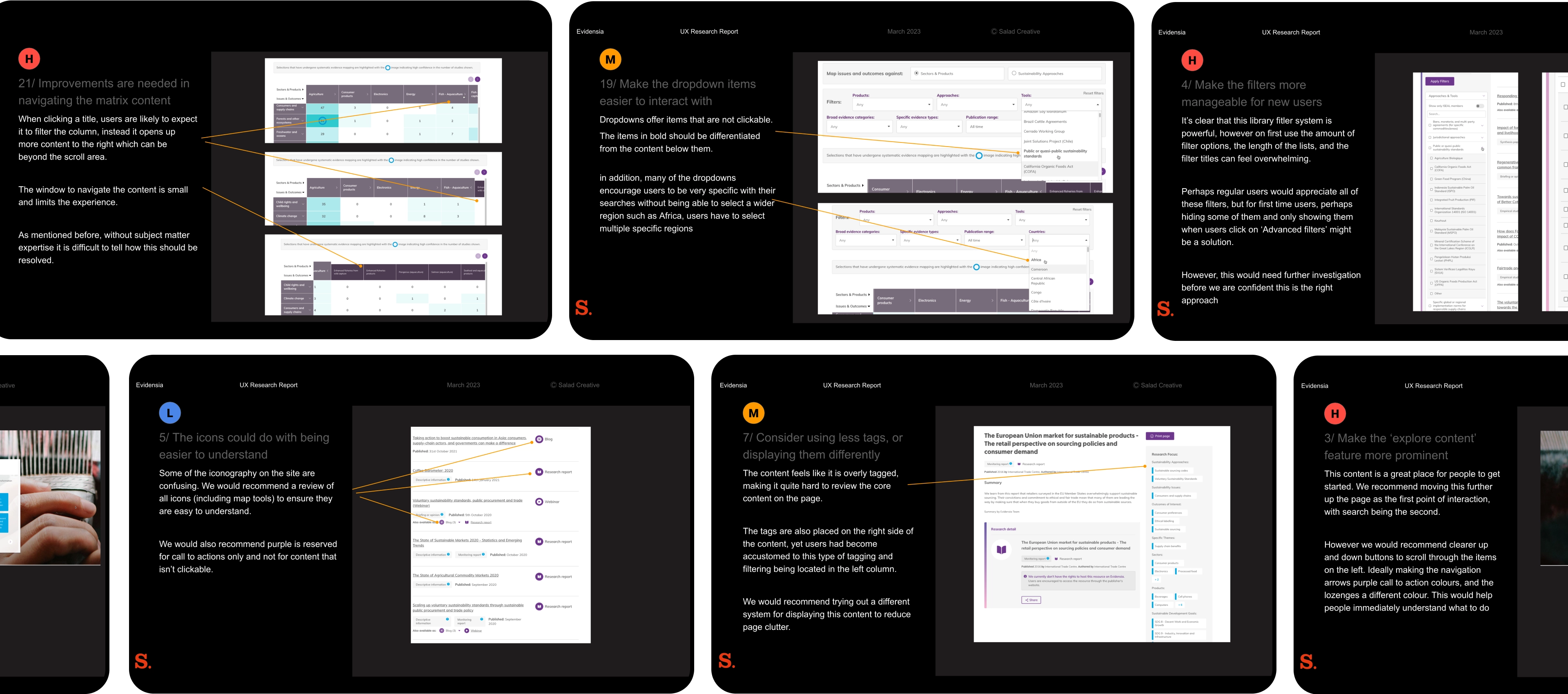 Evidensia UX report