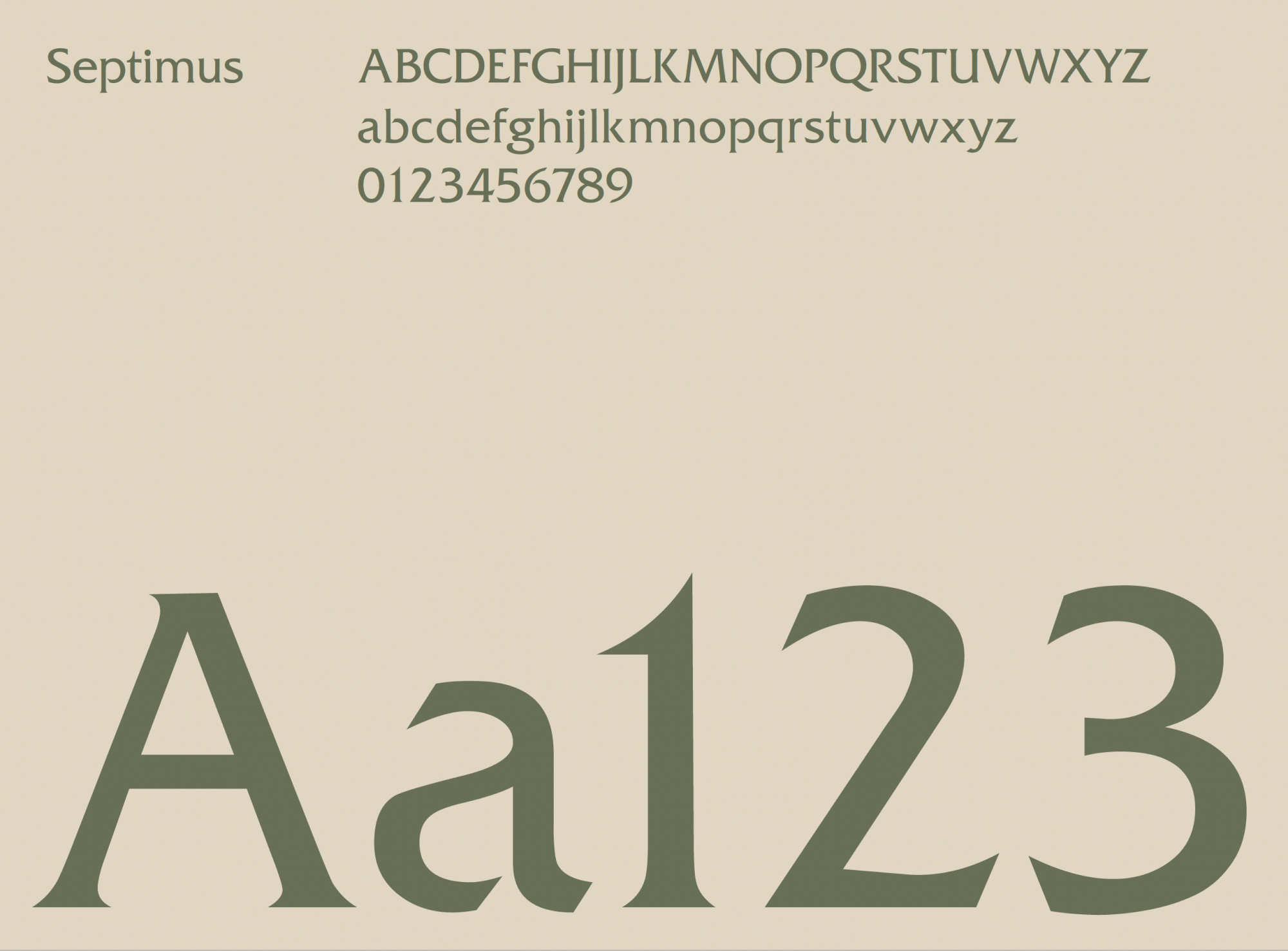 Tessuti Typography