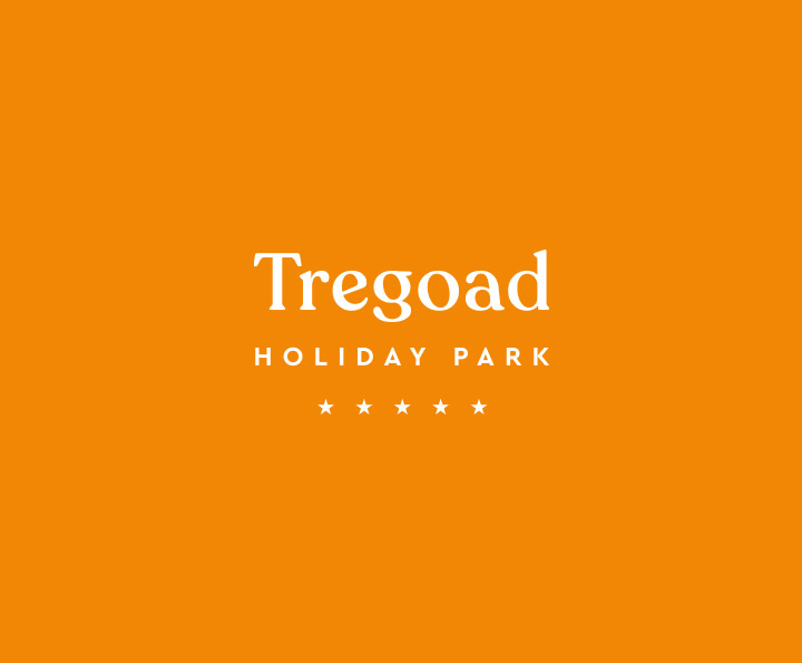 waterside tregoad logo