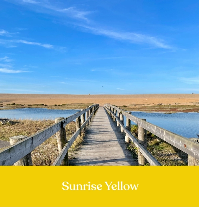 sunrise yellow colour